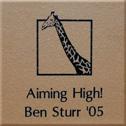 giraffe