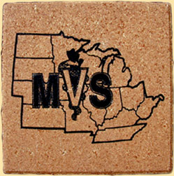 MVS Logo Laser Engraved Brick