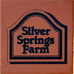 Silver Springs Farm Brick