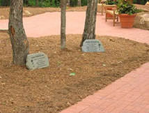 plantation1