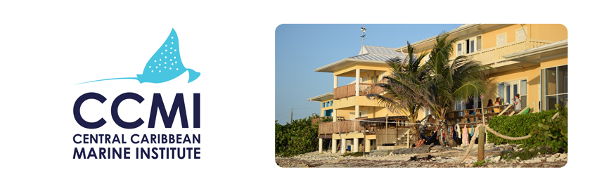 ccmi-banner