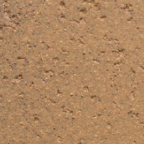 255 Desert Floor